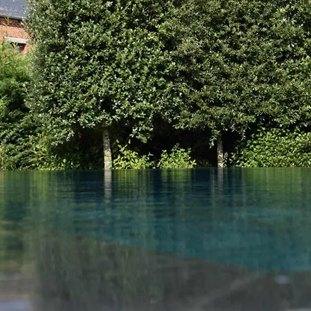 De Luxe Avec Piscine Et Jacuzzi Xxl * Dourlers