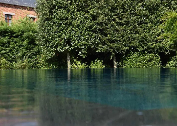 De Luxe Avec Piscine Et Jacuzzi Xxl * Dourlers